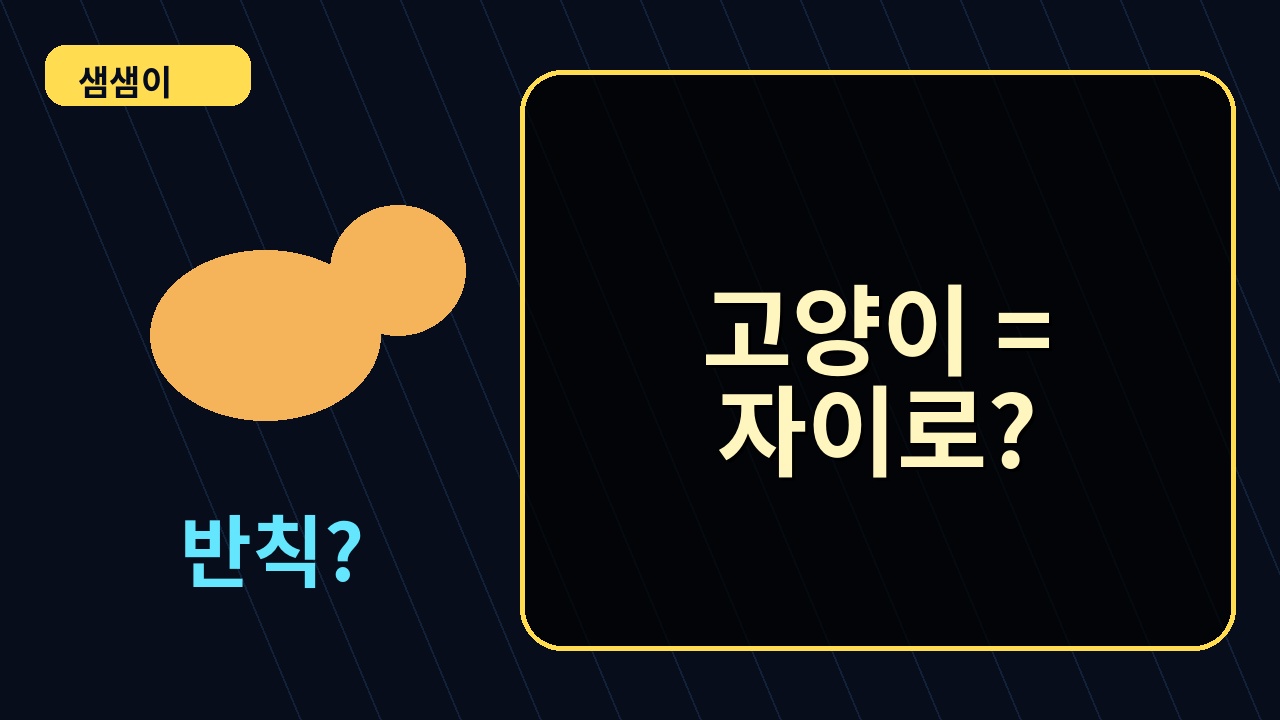고양이는 왜 항상 발로 착지할까? 썸네일